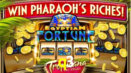 Cassino ao vivo com dealers reais na q3